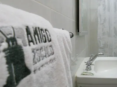 Hotel Amigo Zocalo 3*