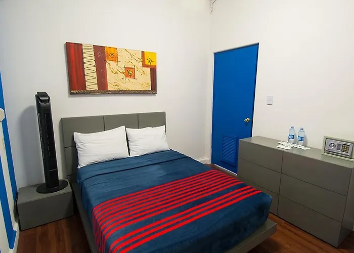 Amigo Zocalo 3*